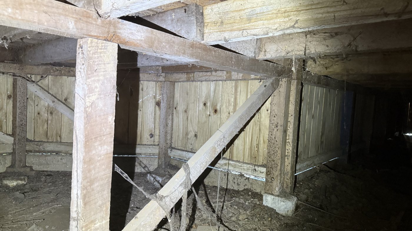 Large subfloor repile - during